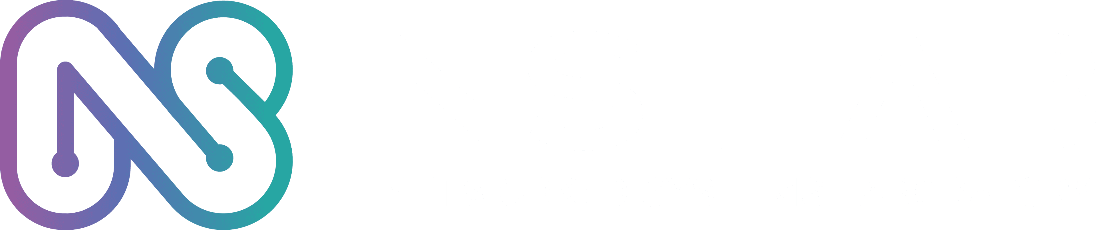 NSLab